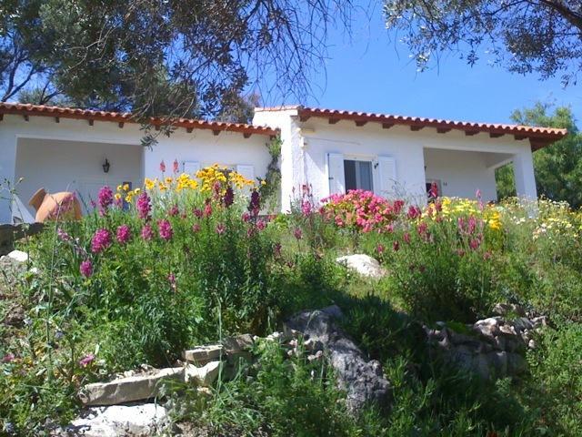 الشقق الفندقية بيثاغوريوفي  Elena Bungalows الغرفة الصورة